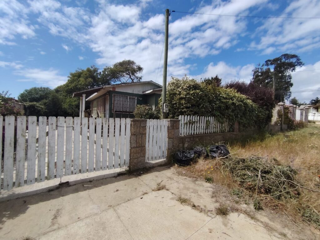 WhatsApp Image 2026-02-09 at 10.33.00 PM